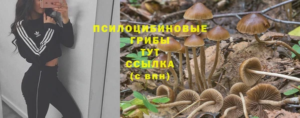 экстази Белокуриха